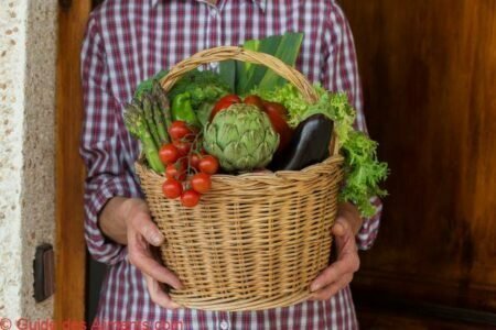 saison l&eacute;gumes