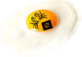 Cuisine Astro oeuf plat cancer