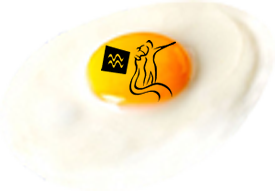 Cuisine Astro oeuf plat verseau