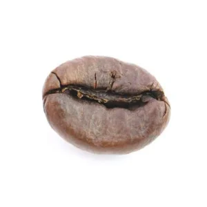 cafe.jpg
