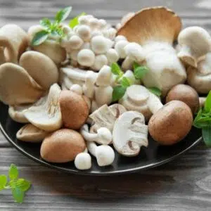 champignons