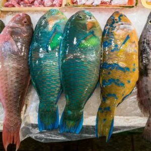kiribati