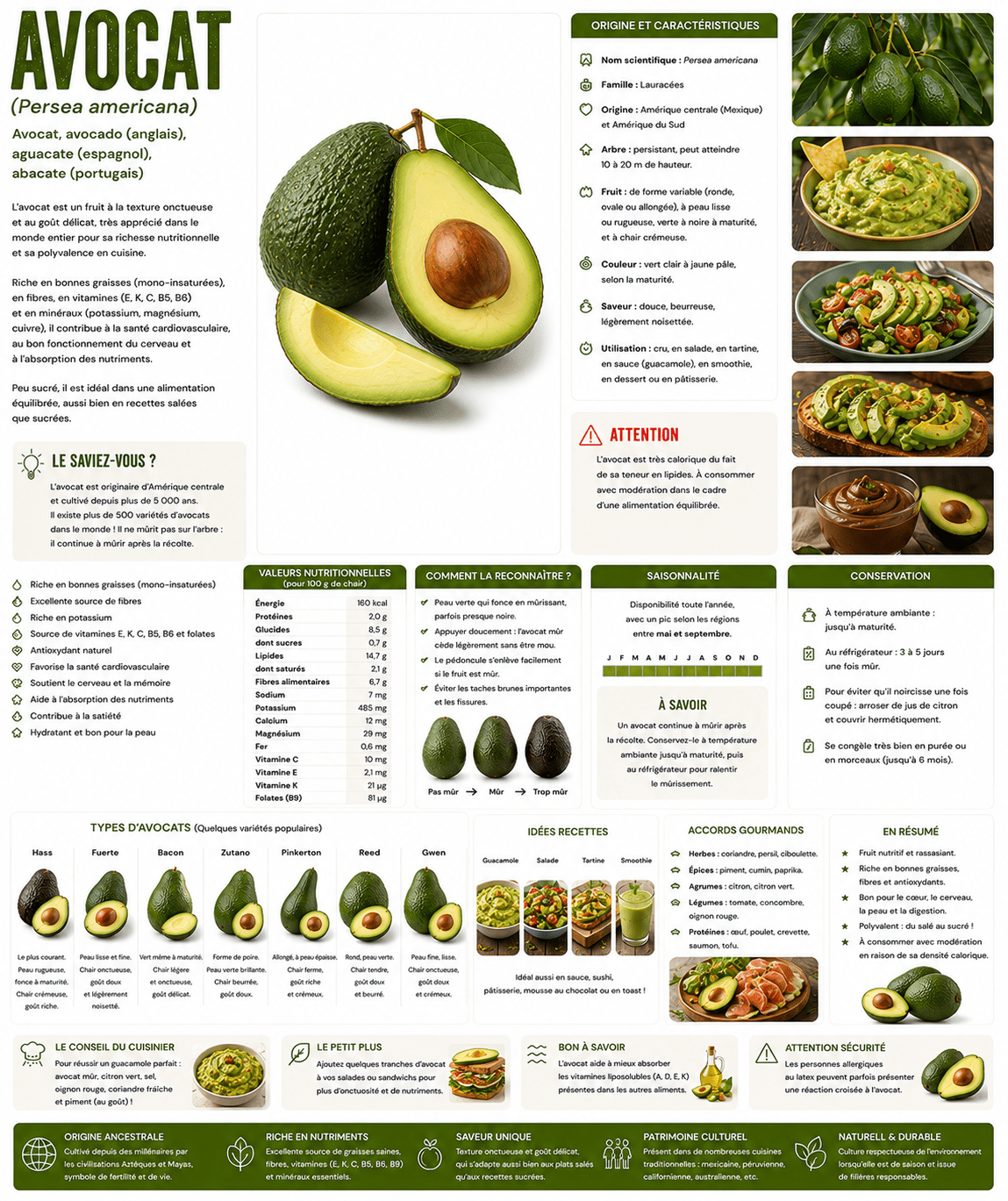 avocat