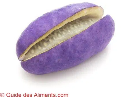 Akebia quinata