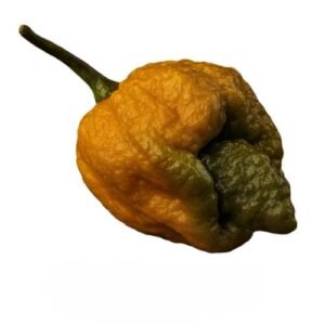 pepper x