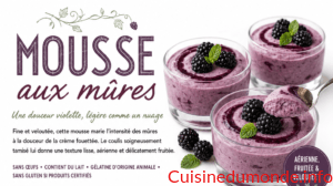 Mousse aux mûres