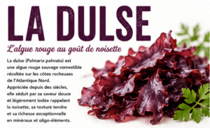 Dulse